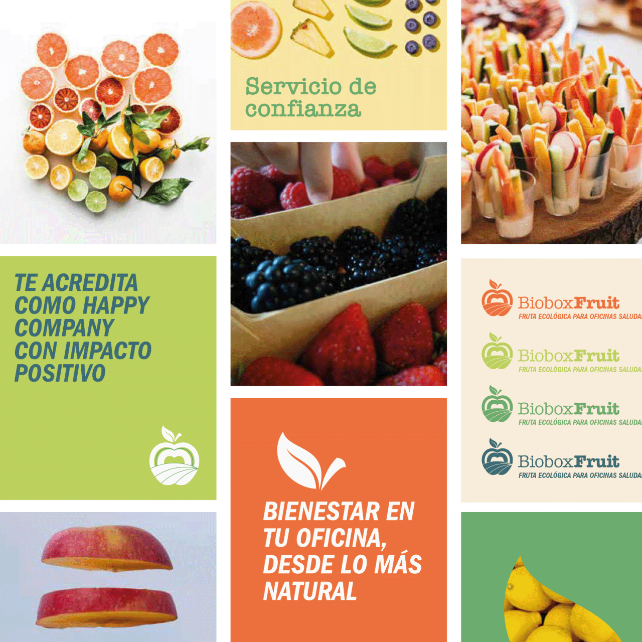 estil de fotografia i composició de la imatge corporativa de Biobox Fruit